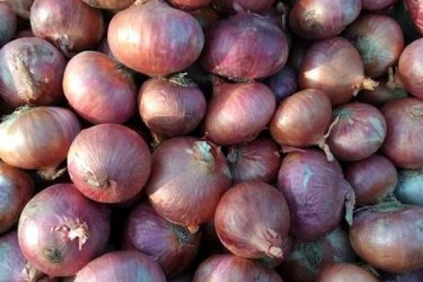 Kraken onion вход