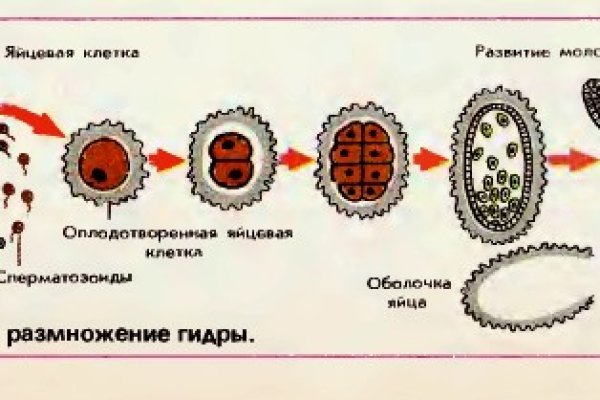 Сайт кракена в торе