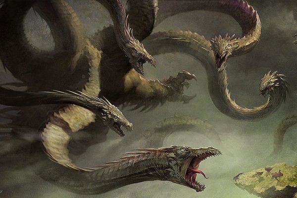 Kraken market place