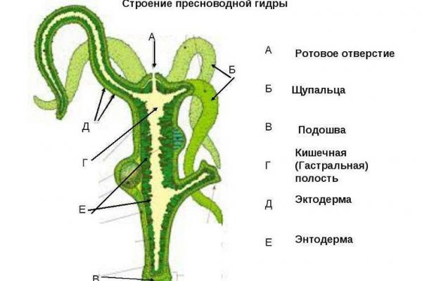 Кракен перейти